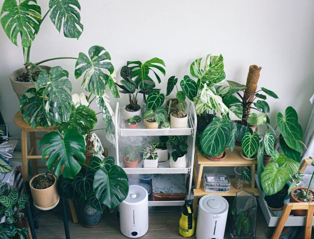 humidifiers