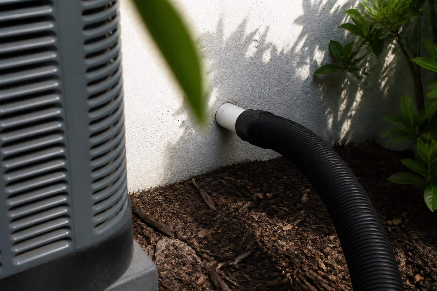 Wet-dry vacuum pulling a clog from the outdoor condensate drain line outlet at a Florida home exterior wall
